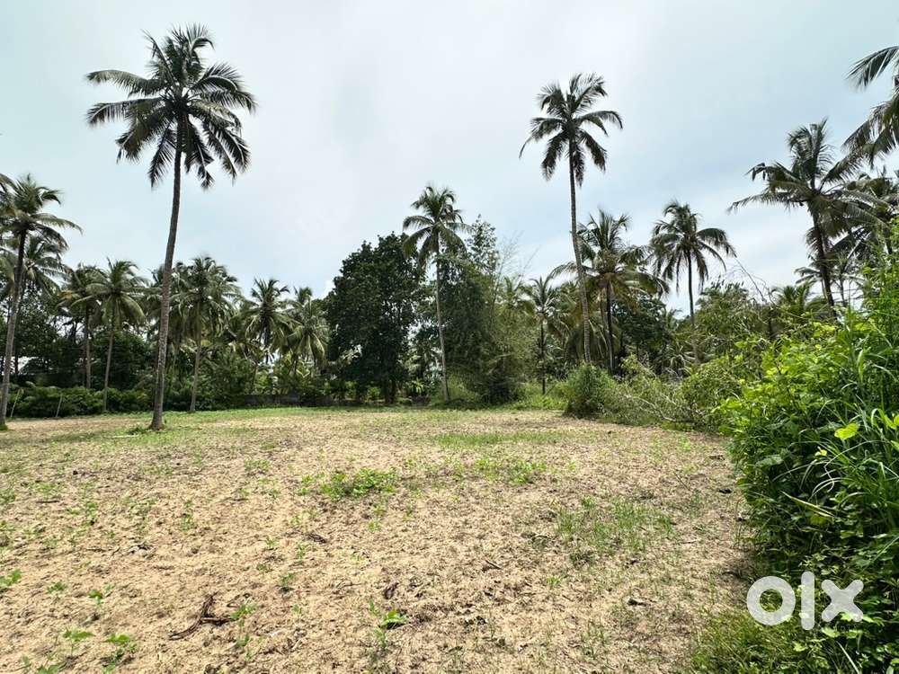 25 cents of land for sale near Guruvayoor