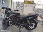 Honda shine