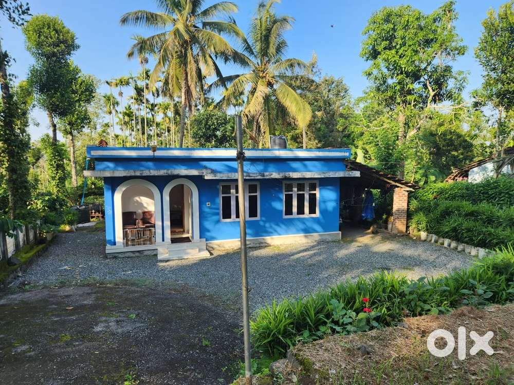 1 ACER LAND WITH 3 BHK HOUSE FOR SAKE @WAYANAD KATTIKULAM