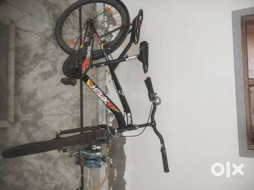 Hawk euro cycle