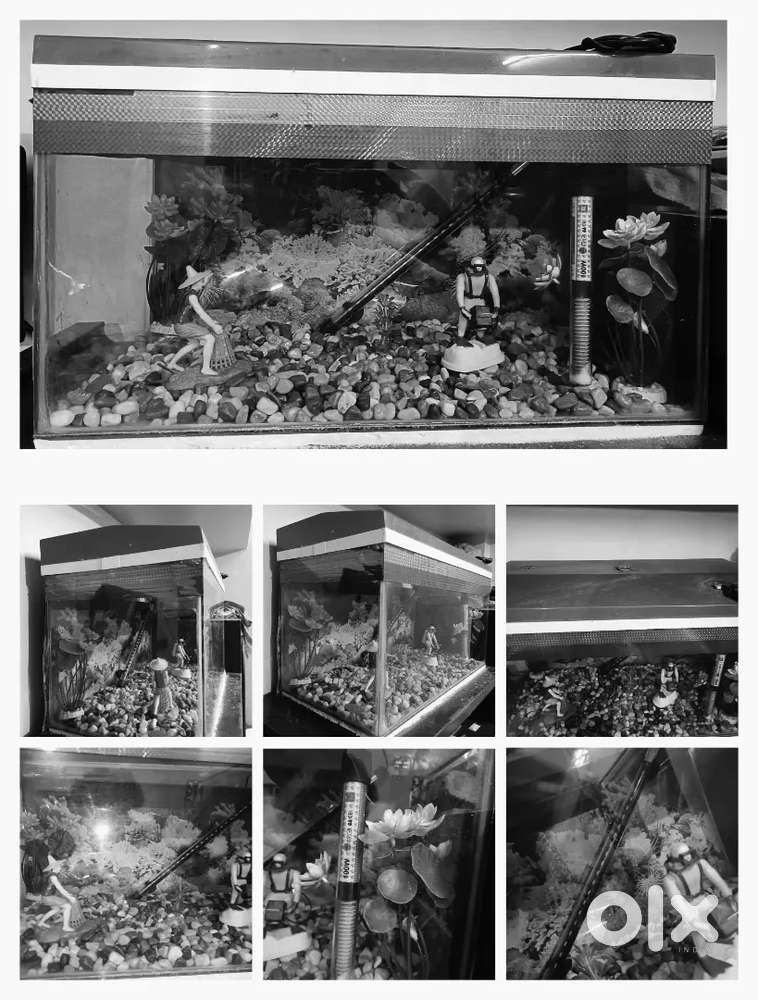 Aquarium and all accessories good condition Sell low price like new.