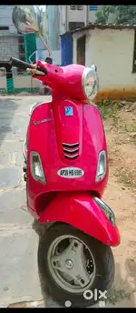 Lady owner