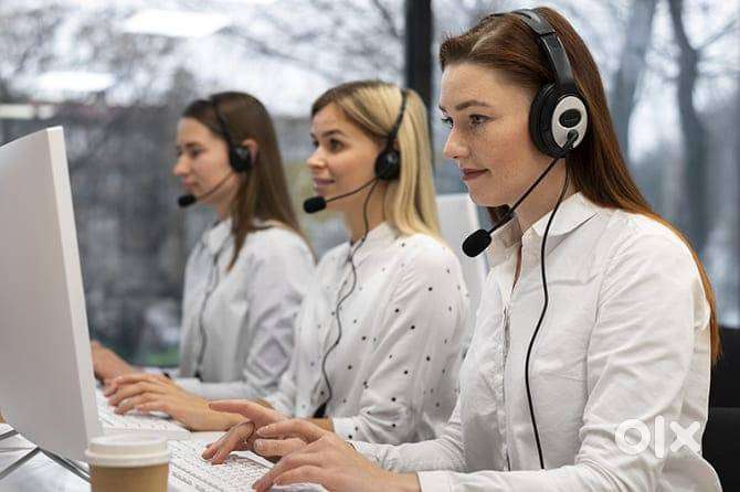 Bpo Executive