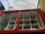 Blue star deep freezer
