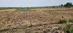 Plot is near sugar company doiwala