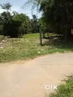 9 cent Residential plot paramb for sale @ Kozhinjampara Palakkad