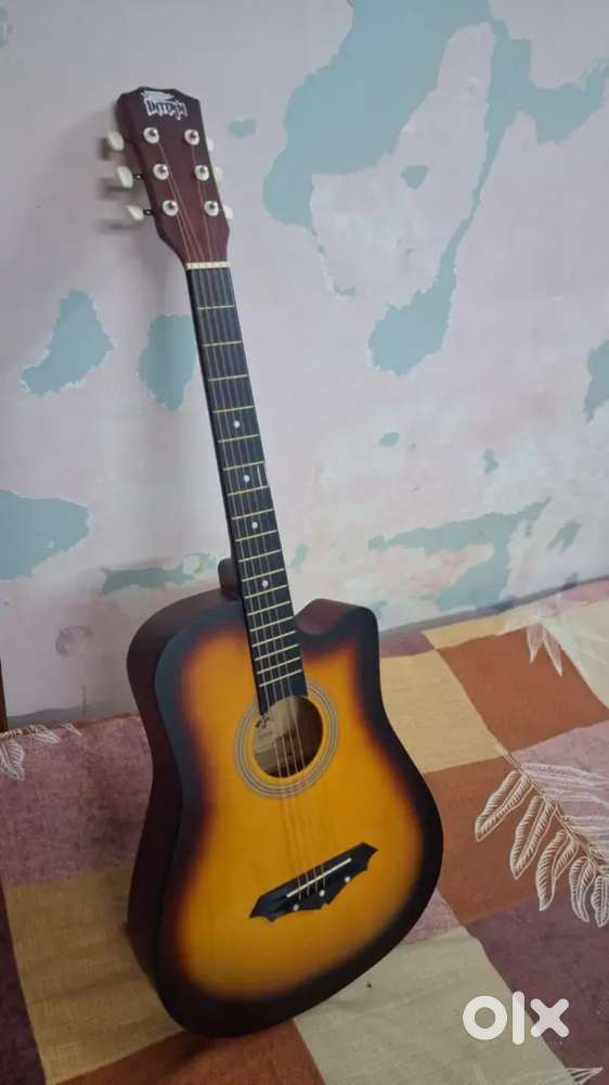 GUITAR (2 months old)