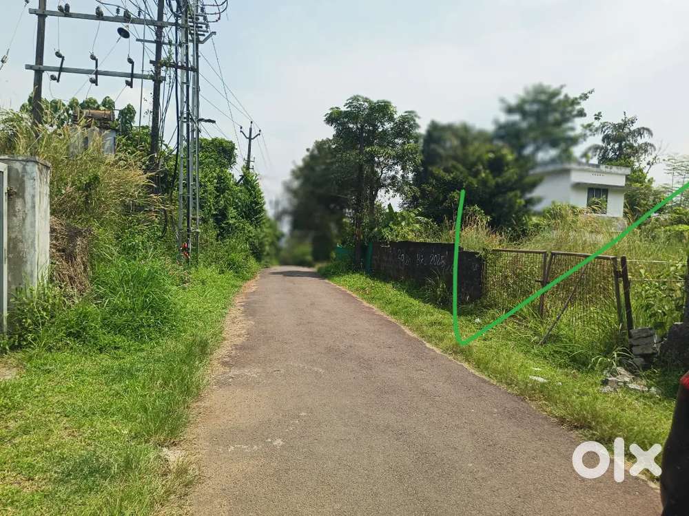 30 cent orginal land for sale At pallikara kakkanad