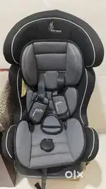 R for rabbit car seat