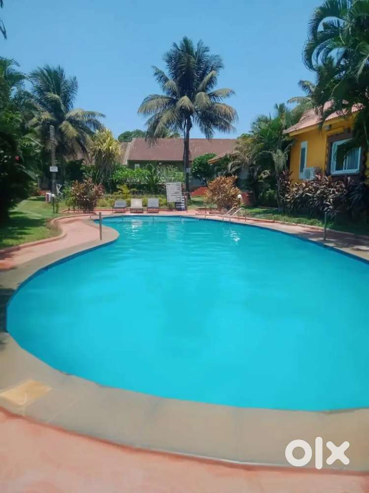 Looking for a partner to invest in a hostel
