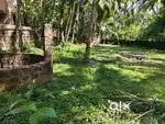 Urgent sale...17 cent plane plot with well,2km away from mavungal town