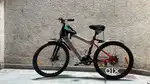 Electric cycle.VOLTIC by Autonix