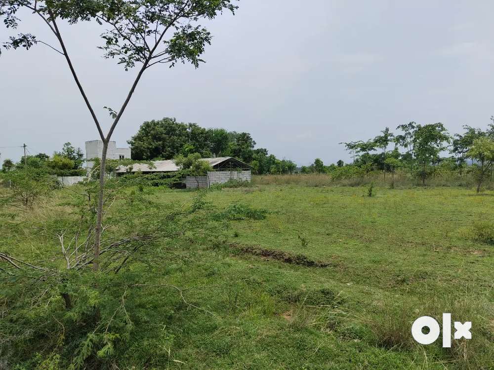 2 acre  Farm land with house for lease or rent