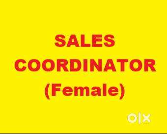 Sales Coordinator