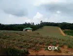 Multipurpose Land (50 cents to 3.50 Acres of plots for Lease or Sale)