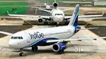 Cabin Crew/ Airport Ground Staff Jobs in Indigo limited vecancy