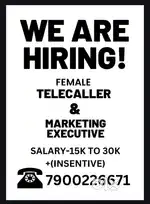 Telecaller