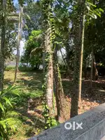 16 cents waterfront land at kandanad kothad at very reasonsble price
