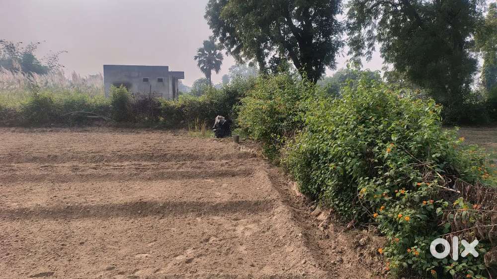 1.5 bigha farming land