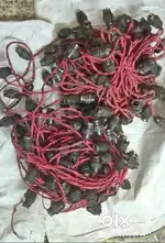 Marriage-Diwali-Festival-Home Lighting-Brand New-Excellent Condition