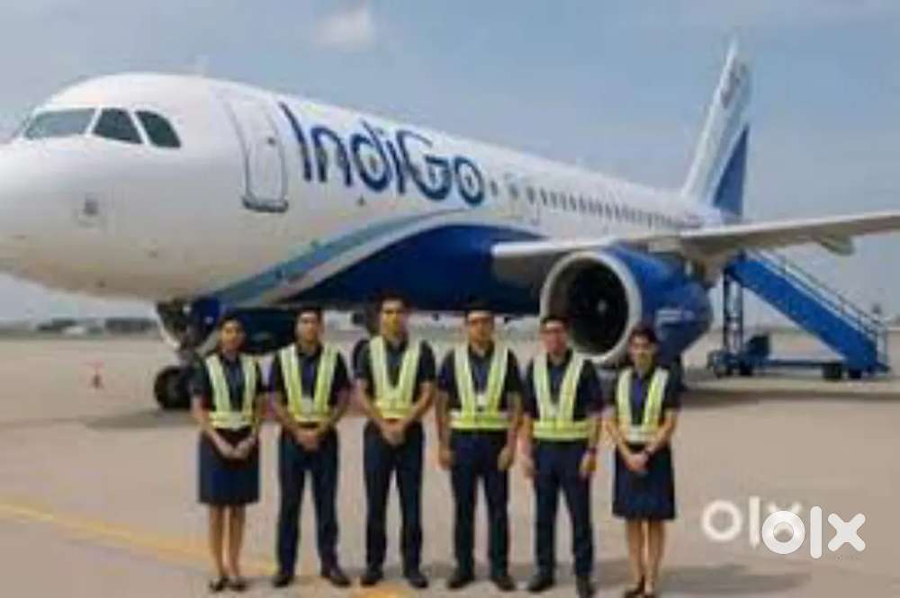 Domestic/International Airport Ground Staff Jobs in Indigo Airlines