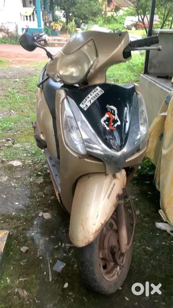 Avaitor bike