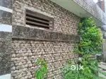 Urgent sale house nanak nagri moga