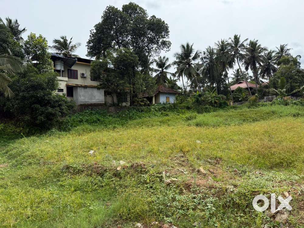 Purayidam residentialPlot for sale