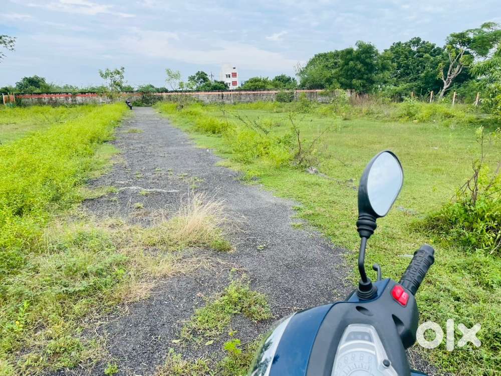 East facing land , no water logging