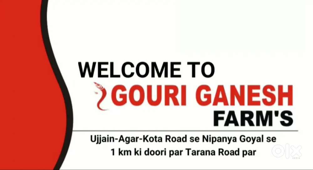 Project me 36 fit ki murti baba ke look me