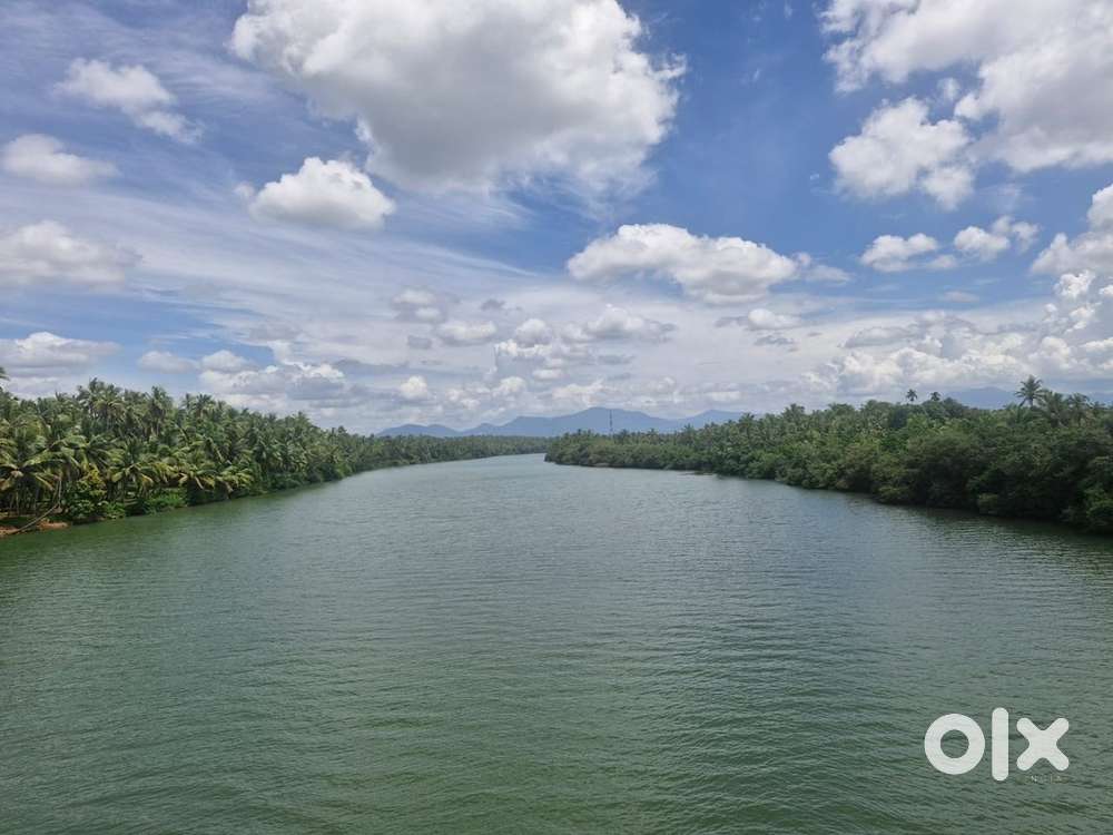 1.25 Acre vaccant plot at kariyad kannur