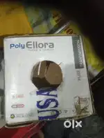 Polly ellora company