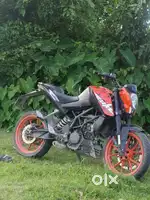 Duke 200 bs4