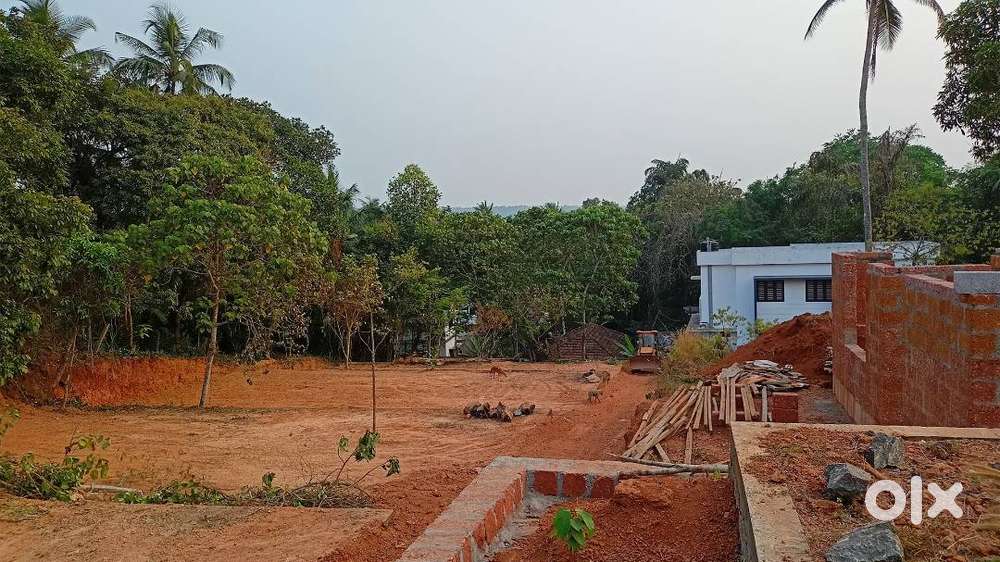 P-01589 : Plot For Sale In Palazhi, Kozhikode