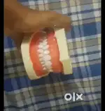 Dental tooth set