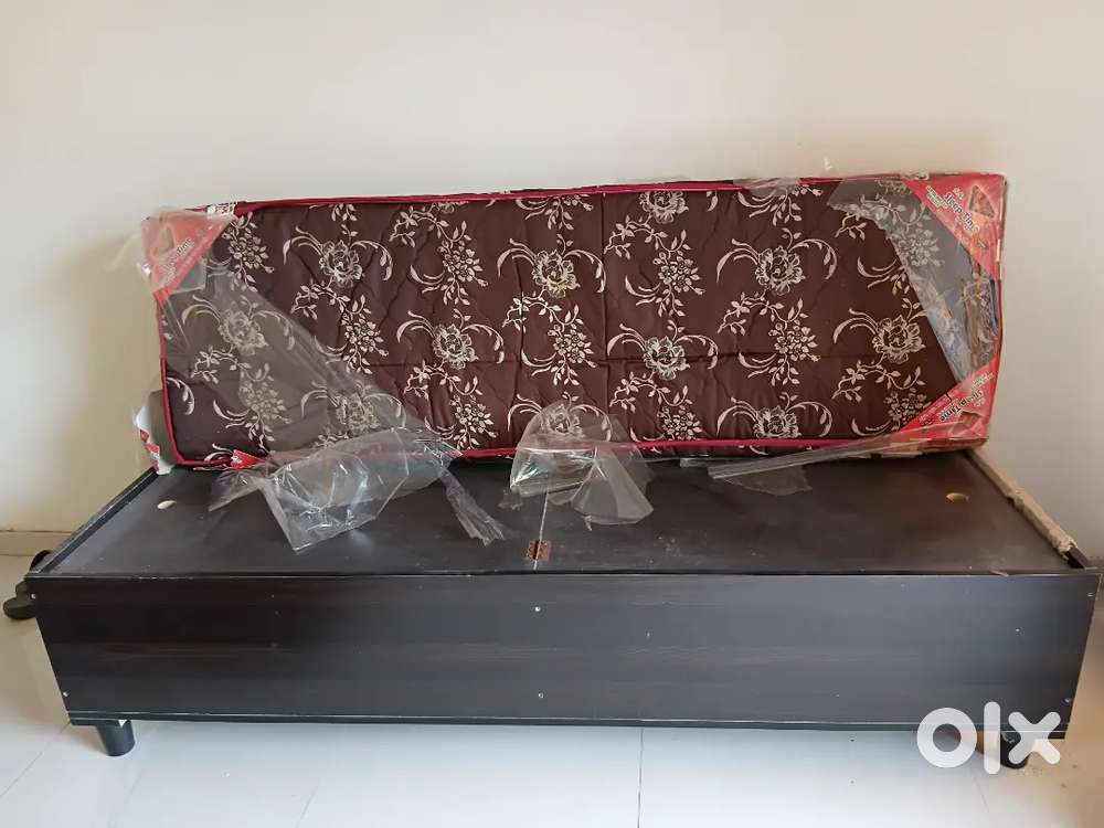 Singal bed cum  sofa