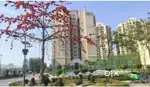 RERA APPROVED READY TO MOVE LUXURY 3 BHK FLAT ON DERABASSI HIGHWAY.