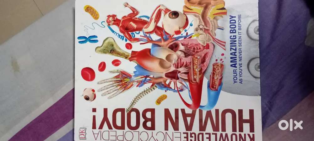 Human Body Encyclopedia Book