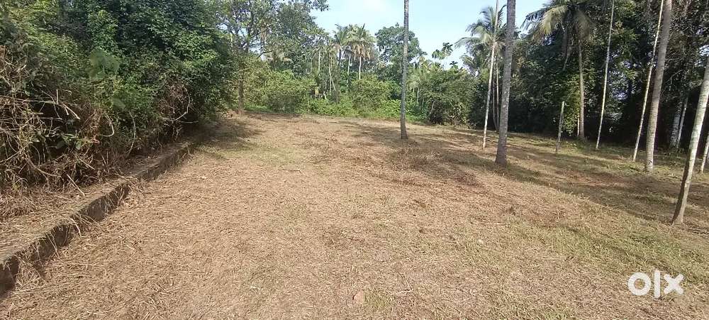 ANGAMALY APPOLLO HOSPITAL 2.KM ,5,6,8, 10 CENT PLOTS AVAILABLE