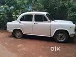 Ambassador(papers current)