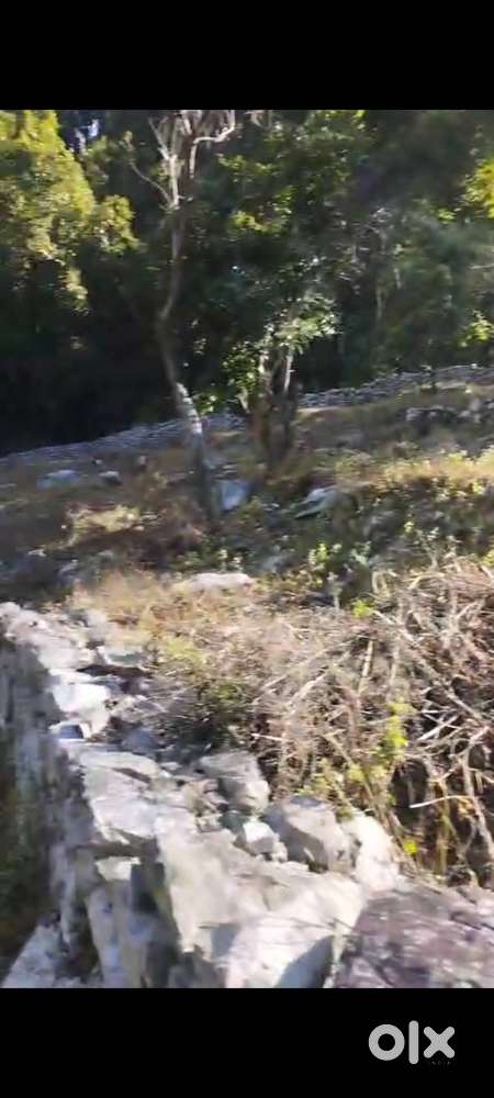 Land near Marchula for Hotel or homestay