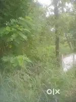 16cent House plot keralapuram -mampuzha route