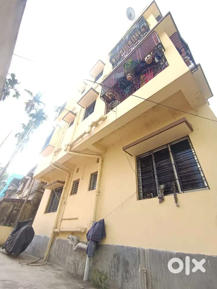 Ready to sell,Need a good family or buyer who understand