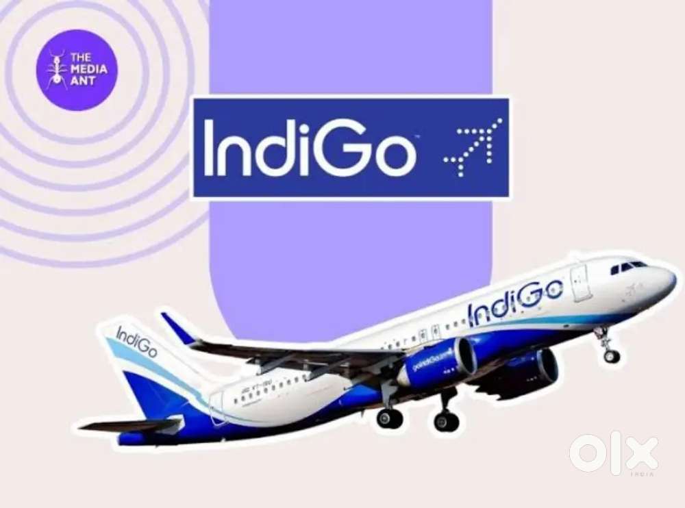 Male/Female candidates hiring for Airport ground staff job in Indigo