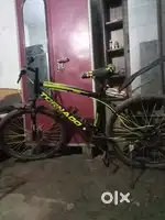 1 month old cycle