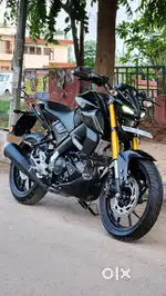 YAMAHA MT 15 2024