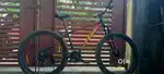 Cradiac rooster mtb bike