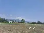 Land in Haldwani