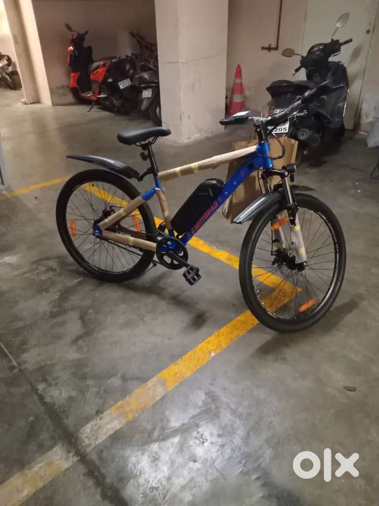 Emotorad Legend cycle