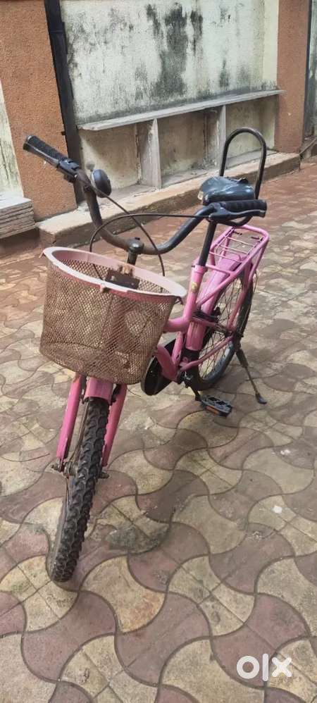 Girl's Cycle (4-10 years)